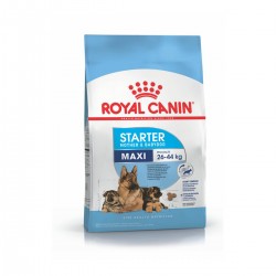 Royal Canin Alimento Seco para Perro Maxi Starter Mother & Babydog  10 kg