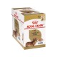 Royal Canin Alimento Húmedo para Perro Dachshund  Pouch 85gr x 12u