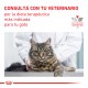 Royal Canin Alimento Húmedo para Gato GastroIntestinal Feline  100 gr