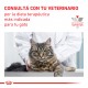 Royal Canin Alimento Seco para Gato Gastrointestinal Feline  2 kg
