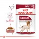 Royal Canin Alimento Húmedo para Perro Medium Adulto  Pouch 140gr x 10u