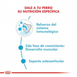 Royal Canin Alimento Seco para Perro Giant Junior  15 kg