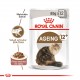Royal Canin Ageing +12 Pouch  x 85g