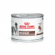 Royal Canin Recovery Cat/Dog Lata x 195 grs