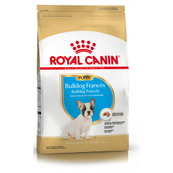 Royal Canin Alimento Seco para Perro Bulldog Francés Puppy