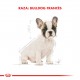 Royal Canin Bulldog Francés Junior 1 kg