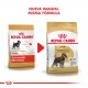 Royal Canin Alimento Seco para Perro Schnauzer Miniature Adult  3 kg