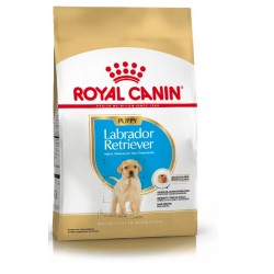 Royal Canin Alimento Seco para Perro Labrador Retriever Puppy x 12 Kg