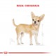 Royal Canin Chihuahua Adulto x 1 kg