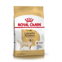 Royal Canin Alimento Seco para Perro Labrador Retriever Adult  12 kg