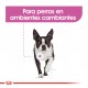 Royal Canin Alimento Seco para Perro  Relax care mini  Canine