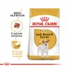 Royal Canin Alimento Seco para Jack Russell Adulto