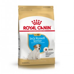 Royal Canin Alimento Seco para Jack Russell Puppy