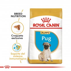 Royal Canin Alimento Seco para Pug Puppy