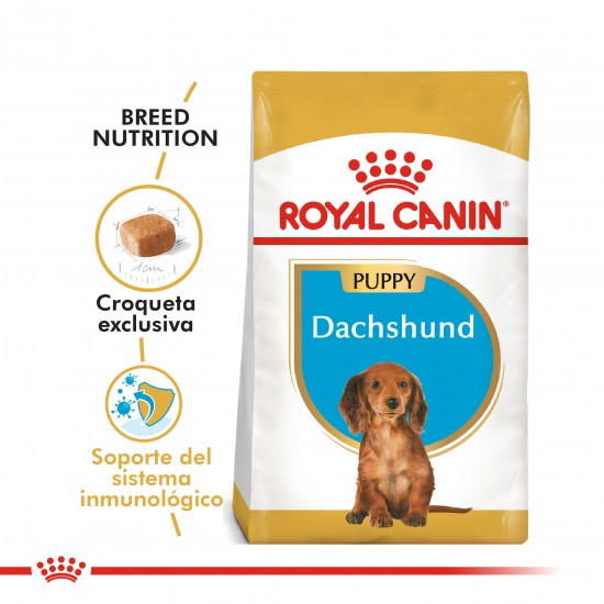 Royal Canin Alimento Seco para Dachshund