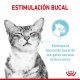 Royal Canin Alimento Húmedo para Gato Sensory  Fell Feline  Caja (15 x 85 grs)