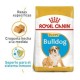 Royal Canin Alimento Seco para Perro Bulldog Puppy