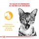 Royal Canin Alimento Húmedo para Gato Sensory  taste Feline  Caja (15 x 85 grs)