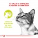 Royal Canin Alimento Húmedo para Gato Sensory smell Feline  Caja (15 x 85 grs
