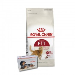 Royal Canin Alimento Seco para Gato Fit x 15 kg Más Regalo