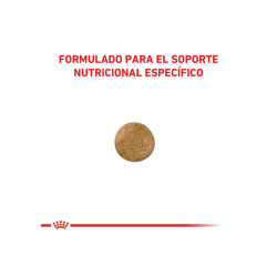 Anallergenic Feline 2 kg