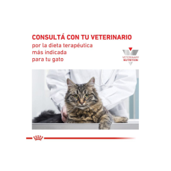 Anallergenic Feline 2 kg