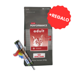 Royal Canin Alimento Seco para Gato Adulto Club Performance 7.5kg + REGALO