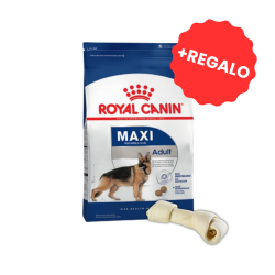 Royal Canin Alimento Seco para Perro Maxi Adulto 15kg + REGALO