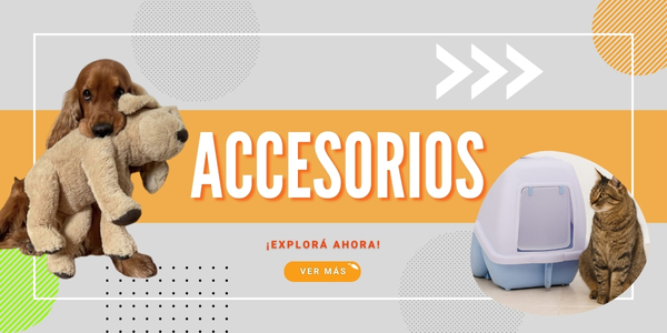 Accesorios
